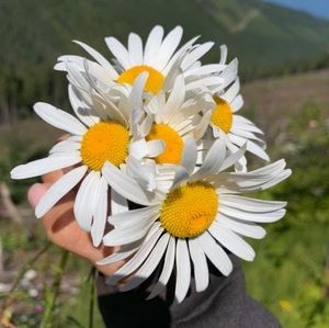 Meet your Posher, Jaime